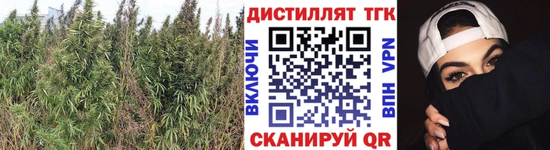 ТГК вейп  Котово 