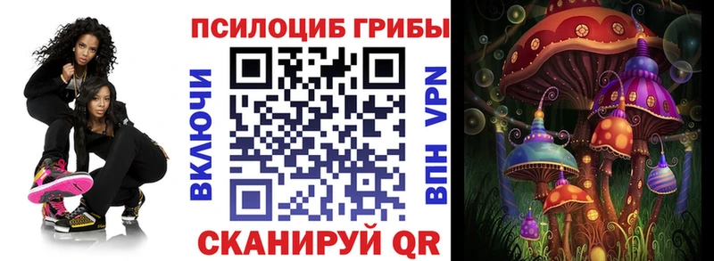 хочу   Котово  Галлюциногенные грибы MAGIC MUSHROOMS 